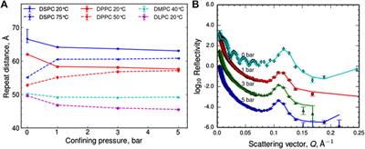 Structural Evidence for a Reinforcing Response and Retention of Hydration During Confinement of Cartilage Lipids